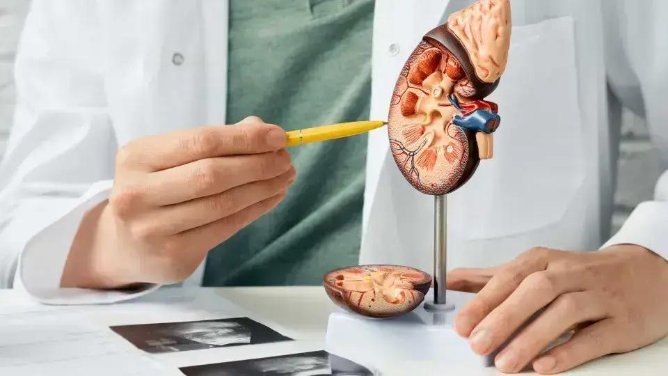 Cinco Sinais Silenciosos da Doença Renal Crônica Que Você Não Deve Ignorar