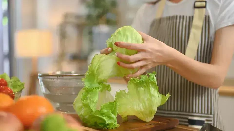 Como Conservar Alface Fresca Por Mais Tempo