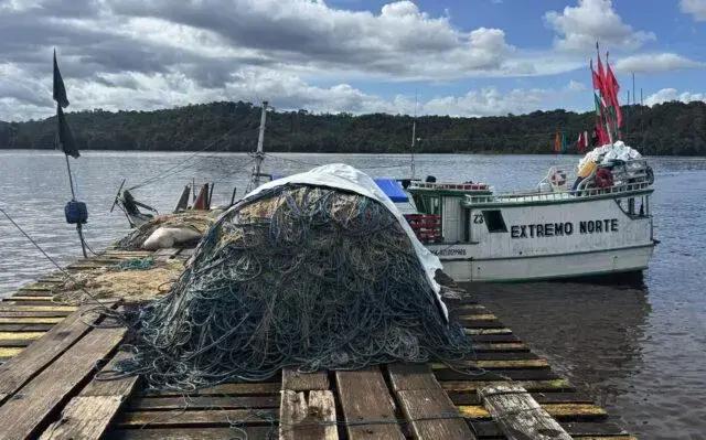 Como os Sons da Exploração de Petróleo Impactam a Vida Marinha