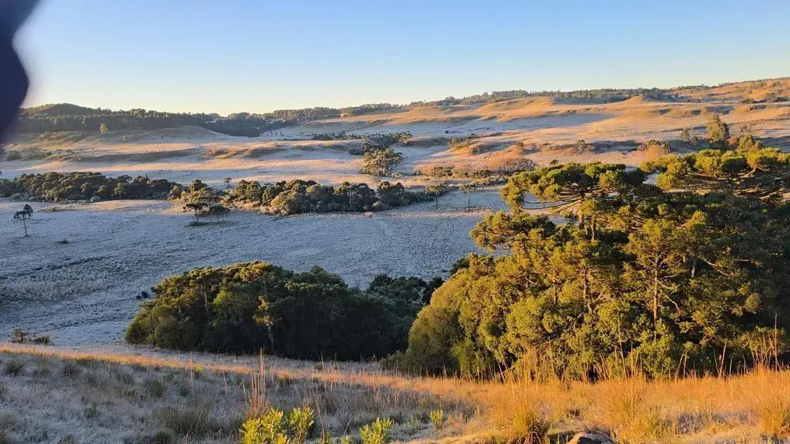 Expectativa Para o Inverno de 2025: Neve e Temperaturas Abaixo da Média