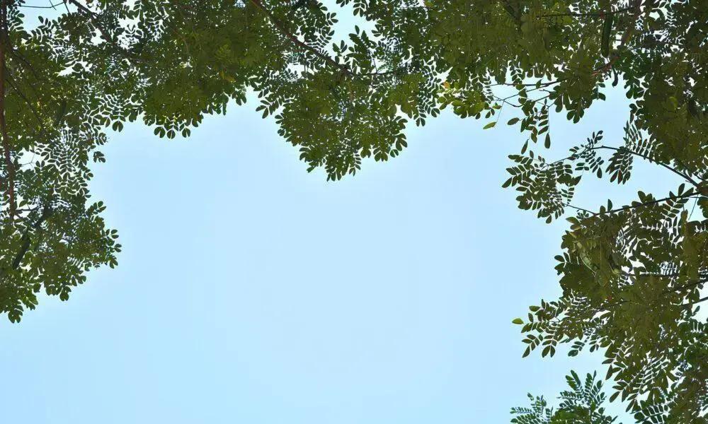 Indaiatuba: O Destino Ideal para um Fim de Semana Incrível