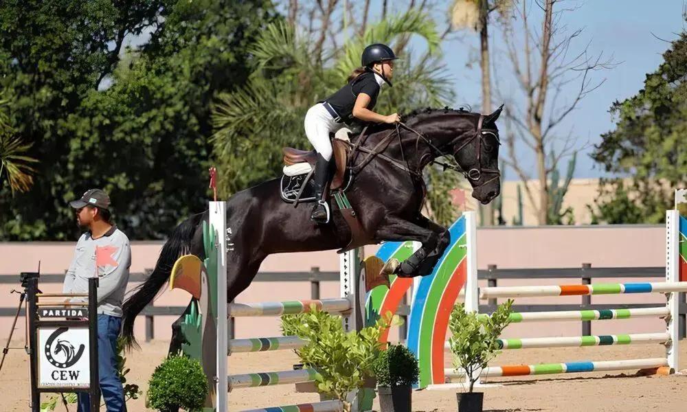Luiza Resina e Sua Vaquinha: O Futuro do Hipismo Brasileiro