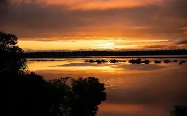 Massacre Rio Abacaxis: cinco anos de medo e impunidade na região amazônica