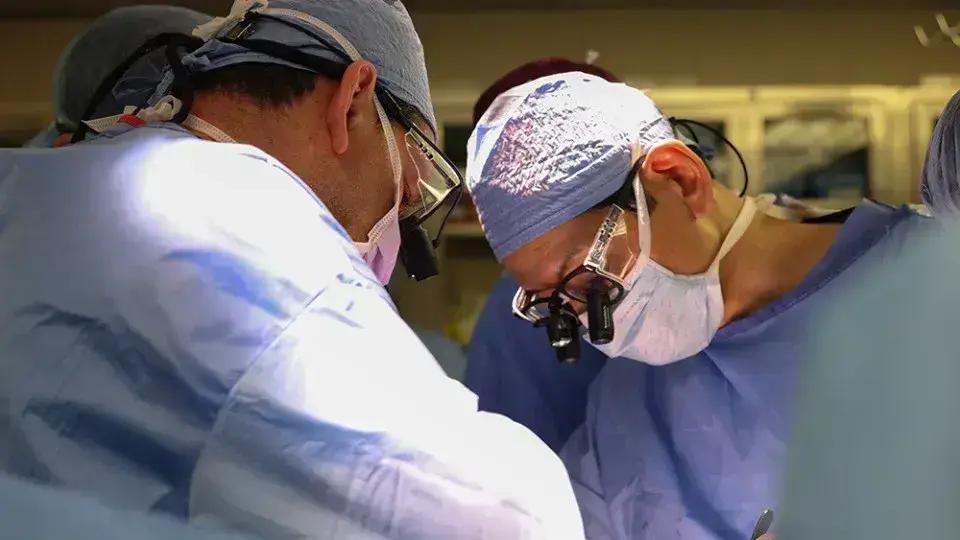 Médicos Realizam Com Sucesso o Primeiro Transplante de Bexiga Humana
