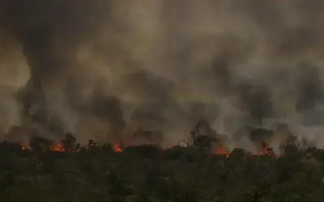 O Alerta das Queimadas e a Savanização da Amazônia