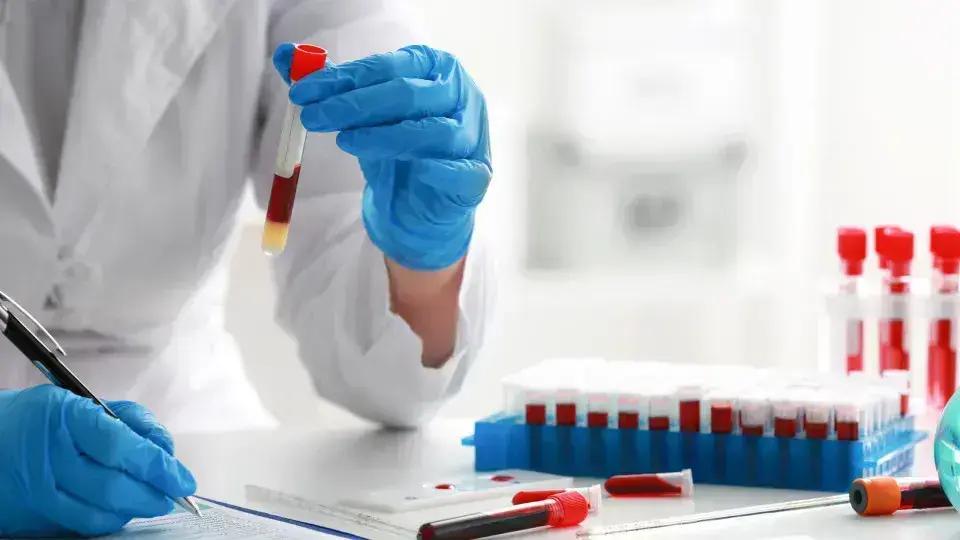 Sangue Artificial: Início das Testes em Humanos Busca Reduzir Dependência por Doações