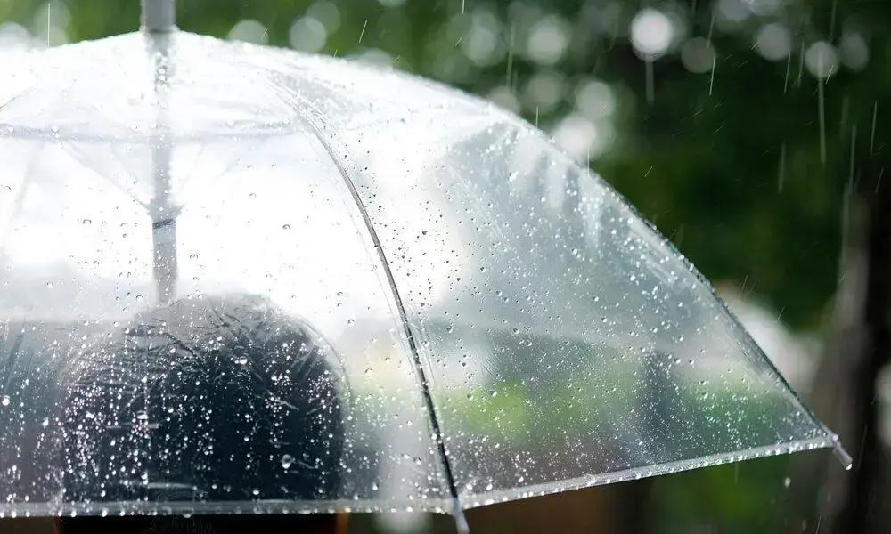 Entenda Como o Clima de Salto Molda o Cotidiano e Impacta a Economia Local