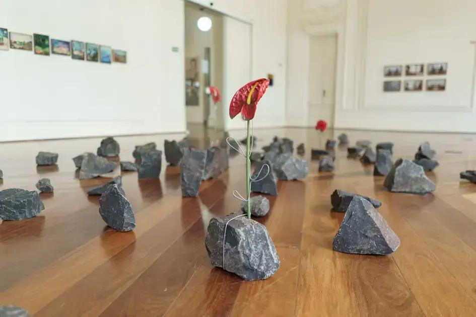 Museu FAMA apresenta a exposição 'Lições da Pedra' com obras que retratam saberes ancestrais do Brasil