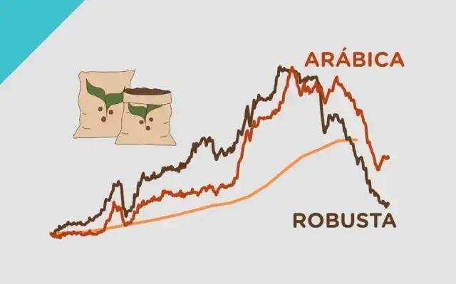 Preço do café: o que está levando à queda nos últimos meses e o impacto na economia