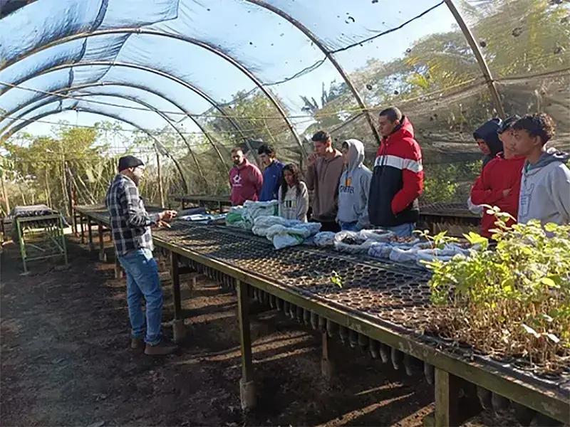 Como Educação Ambiental no Viveiro de Salto Destaca a Importância da Restauração Nativa