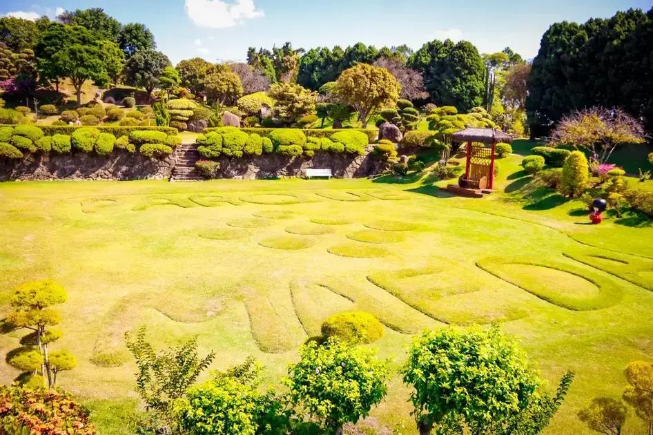 Descubra como o parque Maeda oferece lazer, natureza e gastronomia especiais para o Dia dos Pais