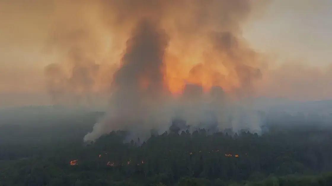 Incêndio florestal na Espanha: impacto, causas e riscos das mudanças climáticas